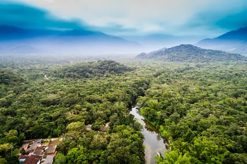 Amazon River: Below the Hamza