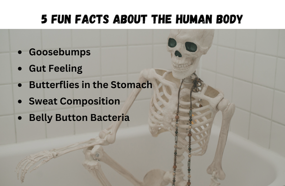 5 Fun Facts about the Human Body