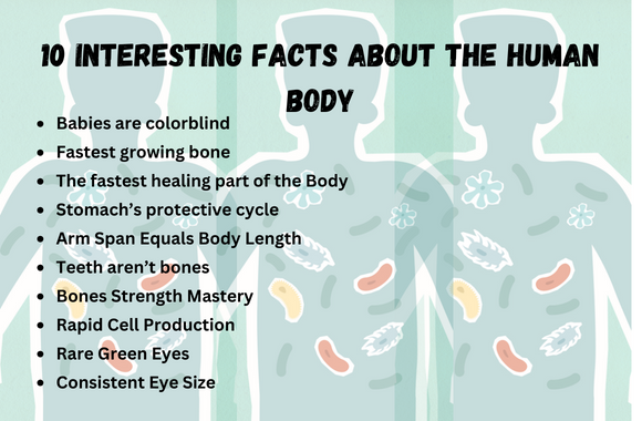 10 interesting facts about the human body