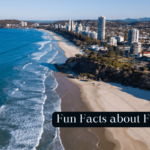 Fun Facts about Florida