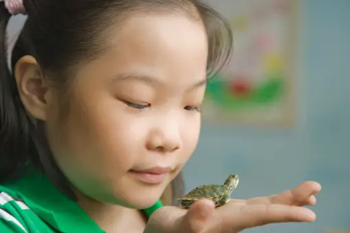 10 Fun Facts about Turtles for Kids